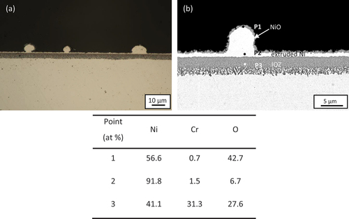 Figure 1. (A) Cross-sectional optical micrograph and (b) SEM image of Ni-25Cr after 300 h reaction in Ar-60CO2-20 H2O at 650°C.