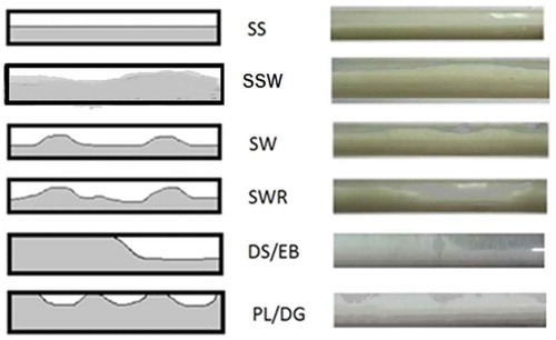 Figure 3. Flow patterns observed; Stratified smooth (SS), stratified-wavy small (SSW), stratified wavy (SW), stratified wavy with ripples (SWR), dispersed slug/elongated bubble (DS/EB) and plug/dispersed gas (PL/DG).