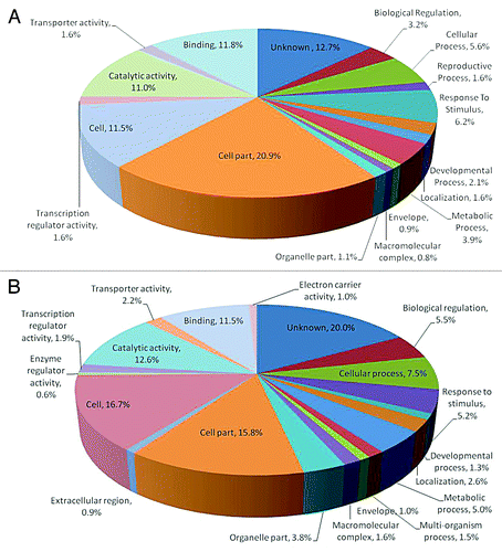 Figure 3. Functional classification of the upregulated and downregulated Arabidopsis thaliana genes in terms of their geneontology (GO terms), relative to their representation in the genome involved in plant growth promotion of Arabidopsis thaliana by Pseudomonas putida MTCC5279.