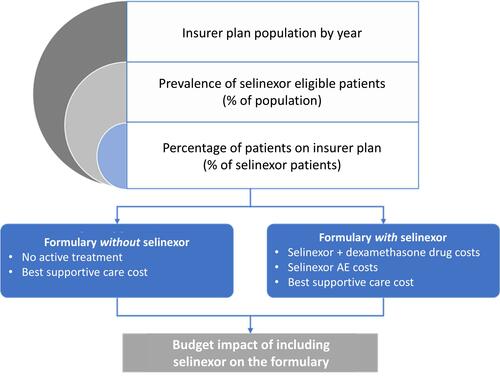 Figure 1 Schematic representation of the budget impact model structure.