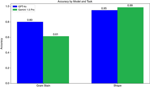 Figure 4. Accuracy of LLMs in separately identifying Gram stain and bacterial shape. Accuracy was calculated as the proportion of correctly classified images out of the total number of images.LLM: Large language model.