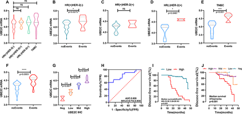 Figure 1 The expression of UBE2C mRNA in different subtypes showed that the expression of UBE2C was lower in HR(+)HER-2(-) patients, but there was no statistical difference compared with other groups. There was no statistically significant difference between the other groups (A). There was a statistical difference in UBE2C expression between the patients with disease progression events and those without disease progression events in HR(+)HER-2(-) patients, and the patients with disease progression events were clearly higher than those without disease progression events (p<0.05). A similar pattern was observed in the HR(-)HER-2(+) and TNBC breast cancer subtypes. In the HR(+)HER-2(+) subtypes, although the UBE2C expression in the group with no event was lower than that in the group with event, there was no statistical difference between the two groups (B–E). High expression of UBE2C predicted poor prognosis of patients. The tumor tissues with progression events had higher levels of UBE2C mRNA than those without progression events P < 0.001 (F). The immunohistochemical expression of UBE2C was positively correlated with the mRNA expression of UBE2C, and there was a statistically significant difference in mRNA expression of UBE2C mRNA different groups (P < 0.001) (G). The ROC curve showed an AUC of 0.826 and a CI of 0.714–0.938 (H). The K-M curve suggests that the prognosis of patients with high UBE2C mRNA expression was poor, whereas vice versa, the prognosis was good, HR=12.39 (5.26–29.18), and the difference was statistically significant (P < 0.001) (I). The K-M curve suggests a statistically significant difference between the different expressions of UBE2C IHC (P < 0.001) (J).(*P<0.05, ***P<0.001, ****P<0.0001).