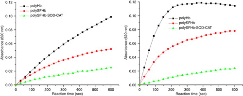 Figure 10.  Ferrylhemoglobin formation in the mixture containing 10 µM (heme) of PolyHb, PolySFHb, and PolySFHb-SOD-CAT in the presence of hydrogen peroxide (Left: 100 µM and right: 500 µM).