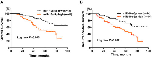 Figure 3 Kaplan-Meier curves of overall survival (A) and recurrence-free survival (B) for BCa patients stratified by miR-10a-5p expression in BCa tissues.
