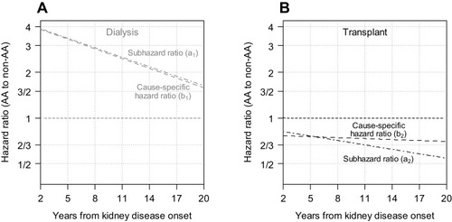 Figure 2 Results from cause-specific hazard (i.e., Cox regression) and subhazard (i.e., Fine and Gray regression) models with first dialysis (A) and first transplant (B) as competing events presenting the time-varying hazard ratios comparing African-American to non-African-American participants with a pediatric onset of kidney disease.