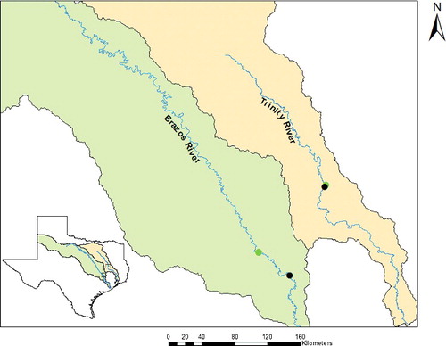 Figure 1. Map showing Brazos and Trinity River survey sites. Upstream dots are locations of USGS gages; downstream dots are survey sites.