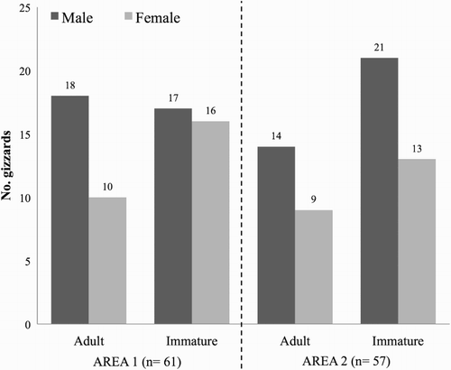 Figure 1. Summary of the sample sizes for both study sites, according to the sex and age of sampled Magpies.