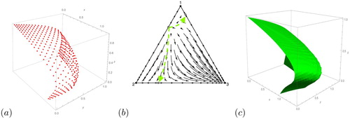 Figure 2. Example 1: balance simplices for the model (Equation1(1) x˙1=x1(1−x1−αx2),x˙2=x2(1−x2−βx1)(1) ). (a) 1 predator, 2 prey; A=1−1/3−11/21−1/23/41/21 (b) The phase portrait for (Equation11(11) du¯idτ(u0,τ)=u¯i(u0,τ)((Au¯(u0,τ))i−θ¯(u0,τ)),i=1,2,3.(11) ), (c) The plot agrees with that computed via finite difference of the PDE (5) in [Citation1].