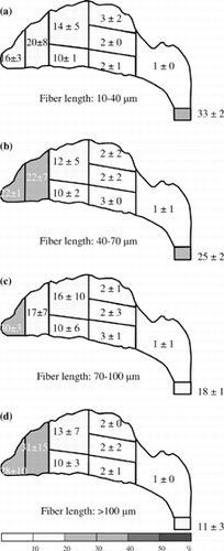 Figure 6 Fiber deposition map for an inspiratory flow rate of 15 l/min. Deposition fractions for each region and subregion are shown in percent (0 represents the value of the fraction < 0.5%).