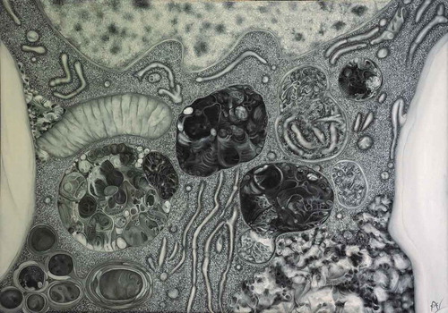 Figure 2. Autophagy 2. Oil on canvas (13.8 x 19.7 inches) that represents a transmission electron image of one fat body cell from a starved third instar larva of Drosophila melanogaster.