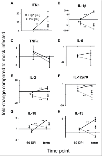 FIGURE 11. Dietary Copper potentiates prion-induced neuroinflammation. Brains from prion-infected mice fed a high Cu diet (solid line connecting squares) or low Cu diet (dotted line connecting dots) were analyzed at 60 DPI or terminal disease for the indicated cytokine production compared to mock-infected control mice fed the same diet (A-G). Data are expressed as fold-change ratios compared to mock infected controls. *, p < 0.05 comparing cytokine changes of high versus low Cu-fed mice at the same time point. **, p < 0.01 comparing cytokine changes of high vs. low Cu-fed mice at the same time point. **, p < 0.01 comparing cytokine levels at 60 DPI to terminal disease of mice fed the same diet.