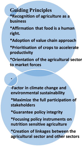 Figure 2. The guiding principles of APP (Source: Adapted from FMARD Citation2016).