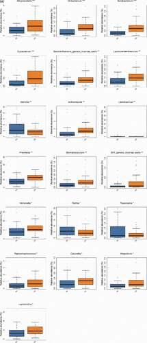 Figure 4. The significant differences species with a box diagram at the genus level among the sample groups, showing species degree of dispersion within the group and their relative abundance between different groups. (a) Bacteria: the box-plot shows 19 significantly different bacterial species. (b) Fungi: the box-plot shows 1 significantly different fungal species