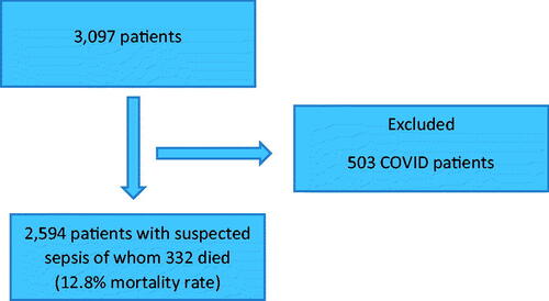 Figure 1. Patient flow diagram.