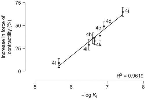 Figure 8.  Diagram of increase in force of contractility versus estimated inhibition constant (Ki) for compounds 4c-l.
