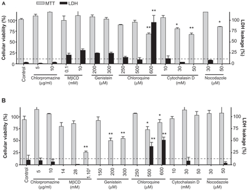 Figure 2 Cytotoxicity of inhibitors of endocytosis and siRNA-Cy3/G7 dendriplexes on (A) J774 cells and (B) T98G cells. Viability of treated cells was determined by MTT assay and lactate dehydrogenase leakage.Notes: Bars represent means ± standard deviations (n = 6). *P < 0.05, **P < 0.01.Abbreviation: MβCD, methyl-β-cyclodextrin.