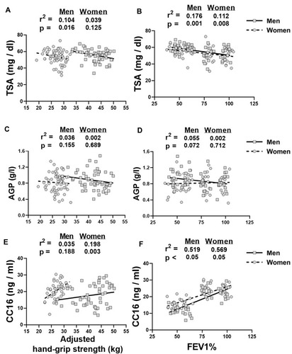 Figure 3 Linear regression graphs of the hand-grip strength and FEV1% with serum biomarkers of TSA (A, B), AGP (C, D) and CC16 (E, F) in the men and women participants with and without COPD. Hand-grip strength was adjusted for age, smoking status, waist circumference, anemia and hypertension in all analyses.