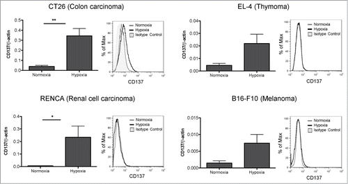 Figure 1. CD137 mRNA expression is upregulated by hypoxia in mouse tumor cell lines. Quantitative RT-PCR assessment of CD137 mRNA expression under 21% and 1% O2 (hypoxia) in the indicated cell lines cultured under these conditions for 48h. A representative direct immunofluorescence staining for CD137 surface expression analyzed flow cytometry is presented in a corresponding histogram showing the discrepancy between the mRNA levels and the weak or dim surface protein staining. *p < 0.05, **p < 0.01.