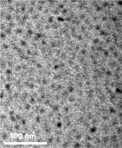 Figure 1 TEM image of QD800-RGD.