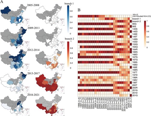 Figure 7. Isolation information of H9N2 AIVs in China from 1996 to 2021.(A) The percentages of branches 1 and 2 in each region from 2005 to 2021. The period during which no H9N2 viruses were counted is indicated in grey. (B) The annual isolation rates of h9.4.2 lineage without h9.4.2.5, branch 1, and branch 2, and annual natural mutation rates at the 12 antigenic residues. “n” below the picture refers to the total number of H9N2 AIV samples for that year.