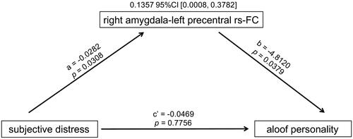 Figure 3. Mediation effect of right amygdala-left precentral rs-FC.
