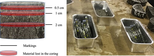 Figure 2. Schematic of the slicing and some photographs of the slices before recovery.