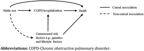 Figure 4. Illustration of collider-stratification bias resulting from associations between statin use, COPD hospitalizations, and the risk of mortality, with the cohort defined by the COPD hospitalisation.