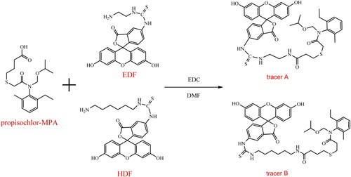 Figure 1. Synthesis schematic for tracer A and tracer B.