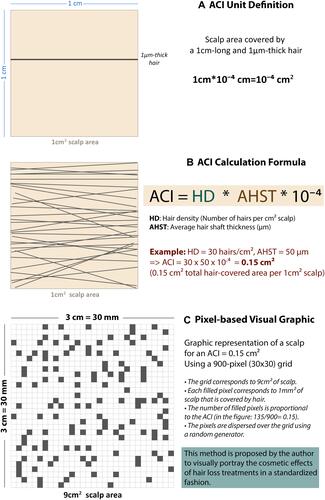 Figure 1 Area coverage index (ACI) definition, calculation formula and pixel transformation method. The figure describes the method proposed by the author to portray the visual aspect of the scalp as a function of the hair density and average hair thickness, by the (A) unit definition, (B) calculation and (C) pixel transformation of an area coverage index (ACI).
