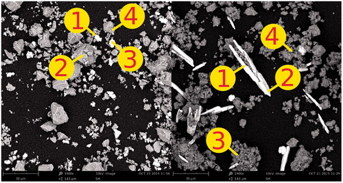 Figure 3. SEM images of MTA-P (left) and MTA-A (right). Bismuth oxide (white) and Portland cement particles (grey) particles can be seen. Refer to Table 2 for EDX of four points from each image.
