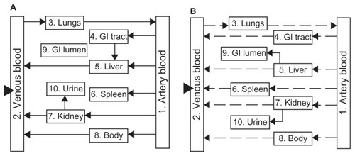 Figure 1 Schematic diagrams of the blood flow-limited model (A) and the membrane-limited model (B). Arrows indicate the transportation of nanoparticles with the dashed arrows in (B), indicating differing transportation equations from solid arrows in (A).Note: Triangles represent the intravenous administration.Abbreviation: GI, gastrointestinal tract.