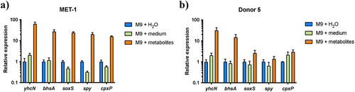 Figure 3. EHEC stress response genes are activated during growth in the presence of microbiota metabolites. RT-qPCR analysis of stress response gene expression during EHEC growth in two different microbiota culture supernatants [MET-1 (a) and Donor 5 (b)], as well as minimal medium and rich medium controls. Data represent mean and standard deviation of three biological replicate cultures per condition.