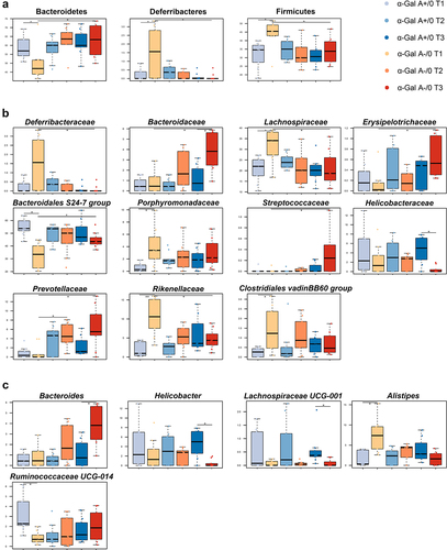 Figure 5. Potential compositional signatures of gut microbiota dysbiosis in α-Gal A (-/0) mice. boxplots showing the relative abundance distribution of differentially represented phyla (a), families (b) and genera (c) between α-Gal A (-/0) mice (orange hues) and α-Gal A (+/0) controls (blue hues) at each age (8–10-week-old (T1), 16–20-week-old (T2), and 12-month-old (T3) (n = 10 each group)), and within each mouse group over time (Wilcoxon test, *p < .05, **, p < .01). Only taxa with relative abundance > 0.5% in at least 1 sample are shown.