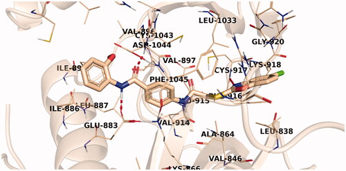Figure 11. The predicted binding pattern of 14b with the active site of VEGFR-2.