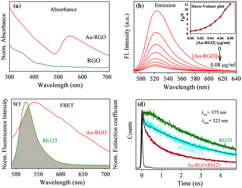 Figure 7. (a) UV-vis absorption plot for Au-RGO and RGO. (b) The effect of Au-RGO hybrid on the fluorescence intensity of Rh123 (inset shows Stern–Volmer plot). (c) The overlap integral of Au-RGO absorbance and Rh123 emission. (d) Fluorescence decay profiles of Rh123, RGO-Rh123 and Au-RGO-Rh123.