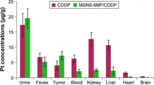 Figure 12 Distribution of Pt in S180 mice treated by MSNS-6MP/CDDP and CDDP (μg/g).