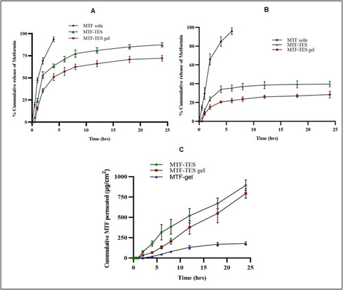 Figure 4. (A) Percent Cumulative MTF release from MTF soln, MTF-TES and MTF-TES gel at pH 7.4. (B) Percent cumulative MTF release from MTF soln, MTF-TES and MTF-TES gel at pH 5.5 (C) ex vivo cutaneous permeation of MTF from MTF soln, MTF-TES and MTF-TES gel.