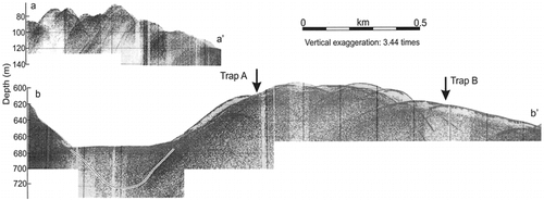 FIGURE 5. Sections of the 3.5 kHz sub-bottom acoustic record showing (a) the almost bare bedrock surface near shore and (b) the sediment cover in deep water near the front of the Müller Ice Shelf (dashed line indicates inferred bedrock reflector in depression). Depths assume sound velocity in water and sediment of 1450 m s−1. Locations of the lines are shown in Figure 1. Trap array A was about 350 m west and Trap array B was about 60 m south of the nearest locations marked on b–b′.