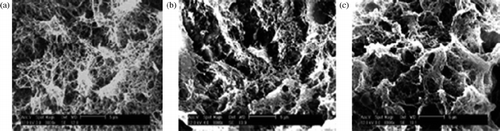 Figure 4 SEM micrographs of aerocellulose from five Avicel/NaOH/water gelled solutions (a) without Simusol (b) with 0.5% Simusol and (c) with 1% Simusol. Reprinted with permission from Gavillon and Budtova (Citation2008). Copyright 2008 American Chemical Society.