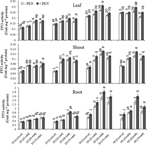 Figure 5. The effect of NaCl (0, 25, 50, and 75 mM) and penconazole (−PEN and +PEN) treatments on PPO activities of M. pulegium leaves, shoots, and roots during four harvest times (10, 20, 30, and 40 days). Vertical bars indicate mean ± SE of four replicates. Different letters indicate significant differences at P ≤ 0.05 (LSD).