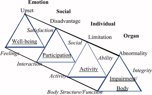 Figure 1.  Therapy outcome measure dimensions.