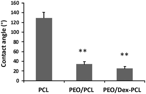 Figure 2. Contact angle measurements to determine hydrophilic properties of PCL, PEO/PCL, and PEO/Dex-PCL nanofibrous scaffolds.