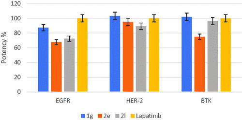 Figure 5. % Potency of compounds 1 g, 2e, and 2 l against EGFR, HER-2, and BTK.