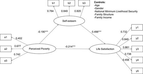 Figure 1 Model of interrelations between perceived poverty, self-esteem and life satisfaction.