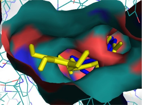 Figure 9 The docked compound 7 (yellow) and native Huperzine A (blue) in the binding pocket of human acetylcholinesterase.
