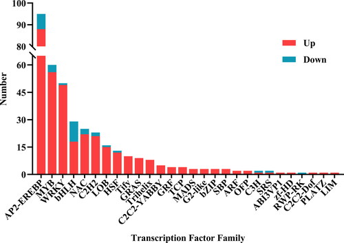 Figure 4. Differentially expressed genes of transcription factor families under alkaline stress. Differentially expressed transcription factor families were detected under NaHCO3 stress. The x-axis represents the transcription factor families, and the y-axis represents the number of transcription factors. The different colors indicate numbers of transcription factors under alkaline treatment. Blue represents down-regulated DEGs, orange represents up-regulated DEGs.
