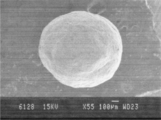 FIG. 2 SEM of the formulated spheroid (magnification 55×).