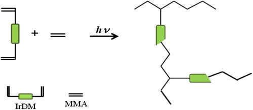 Scheme 2 Schematic representation of photocopolymerization of IrDM and MMA.