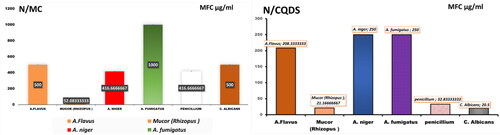Figure 5. The MFC values (µg/ml) of N/CQDs and N/MC against both different fungal isolates.