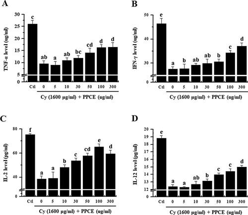 Figure 2. Effect of PPCE on cytokine levels in splenocytes. Cells were seeded into 96-well plates, followed by treatment with PPCE (0, 5, 10, 30, 50, 100, 300 μg/ml) and cyclophosphamide (Cy; 1,600 μg/ml) and incubated for 24 h in a 5% CO2 incubator. Levels of TNF-α, IFN-γ, IL-2, and IL-12 secretion into the culture medium were analyzed using ELISA kits. Bars labeled with different superscripts have significantly different values (P < 0.05 vs. control). Data are presented as means ± standard errors (n = 3).